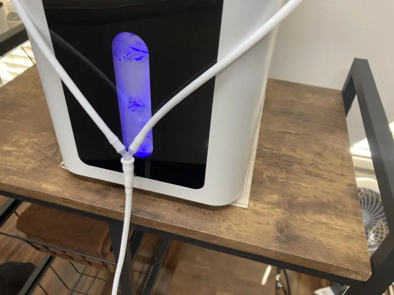 水素吸入器「OOMPH（ウムフ） HO-1200」レビュー｜犬・猫への水素ケア